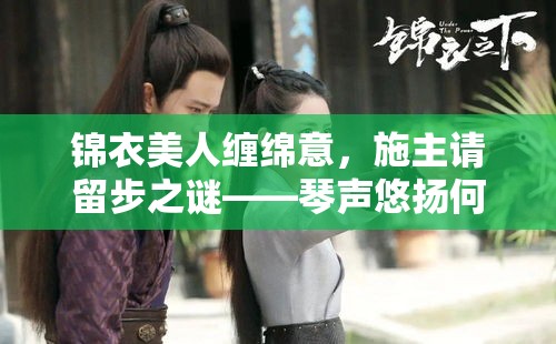 锦衣美人缠绵意，施主请留步之谜——琴声悠扬何人弹？女子何故深夜留男？